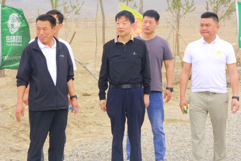 岳氏集團(tuán)董事長(zhǎng)岳平安蒞臨萬畝酸棗種植基地視察工作推進(jìn)情況