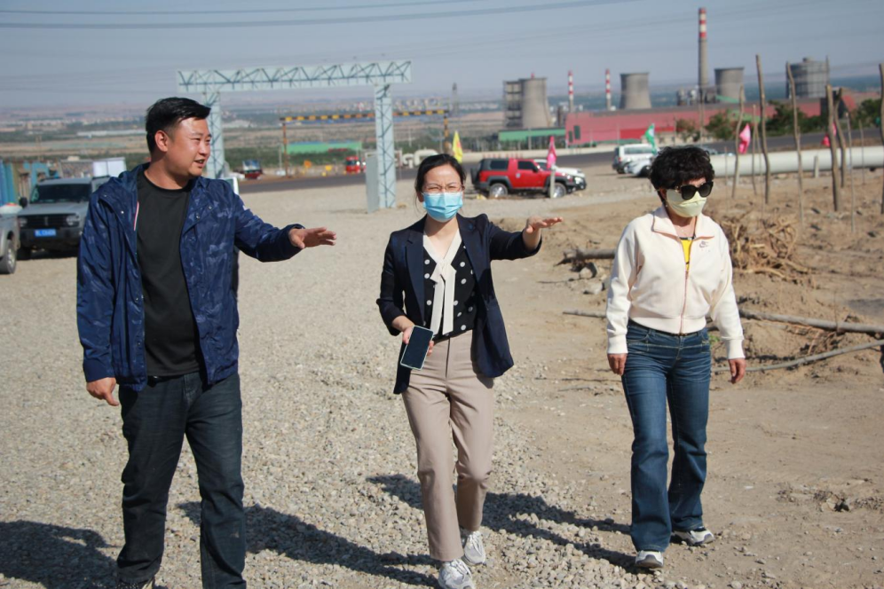 石嘴山市農(nóng)業(yè)農(nóng)村局副局長(zhǎng)徐永霞、農(nóng)經(jīng)中心主任王曉斌一行蒞臨基地檢查指導(dǎo)